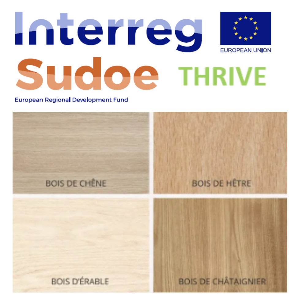 les essences du programme de feuillus Interreg Sudoe